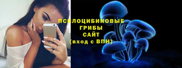 дурь Приозерск
